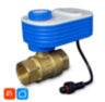 Шаровый кран QT06-20W 3/4" дюйма с WiFi модулем